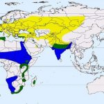 Ареал обитания перепела