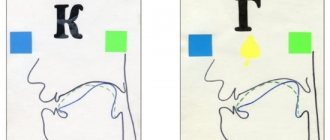 Articulatory profiles of sounds k and g