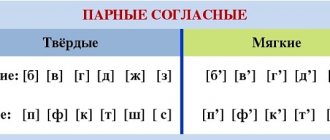 Парные звонких и глухие согласные