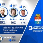 *Пример информационной листовки с рейтингом депута