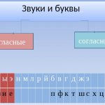 Consonants and letters