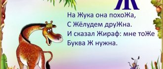 стих про букву ж