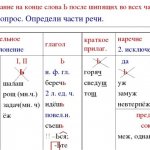 Употребление мягкого знака на конце имен существительных после шипящих