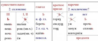 Using a soft sign at the end of nouns after sibilants