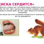 'Упражнение "Сердитая кошка"' width="700