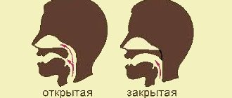 Types of nasal voice